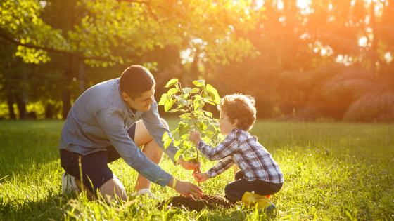 vader en zoon planten boom in tuin